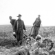 Image for article titled These Dogs are Honorary Geologists for Their Early Exploration of Alaska